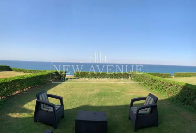 119591132 - Property Image 2