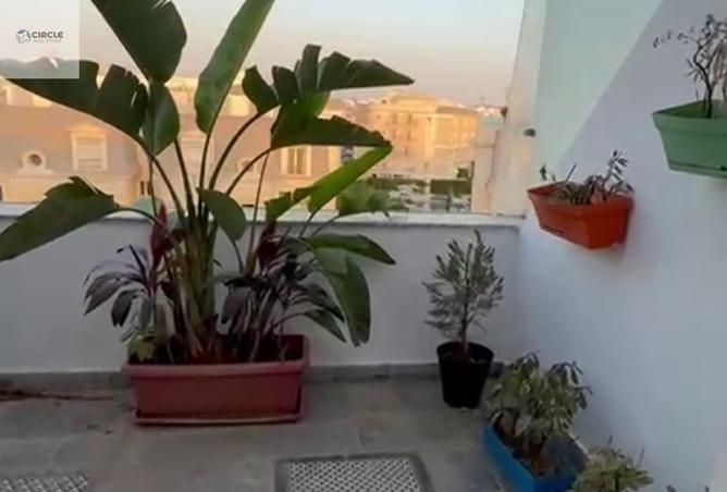 70097459 - Property Image 3