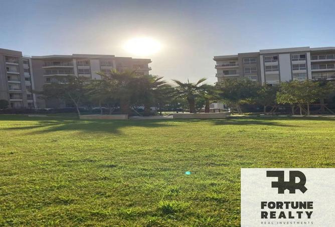 8538549 - صورة العقار 3