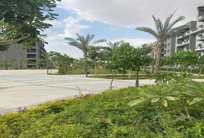 72441176 - صورة العقار 2