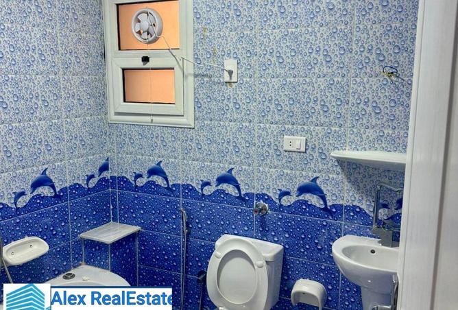 67727511 - صورة العقار 3