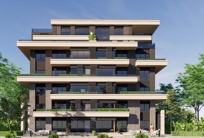 65657067 - Property Image 3