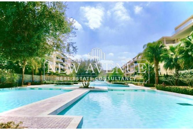 61198494 - Property Image 3