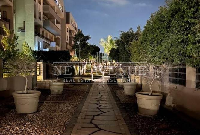 107117018 - Property Image 3