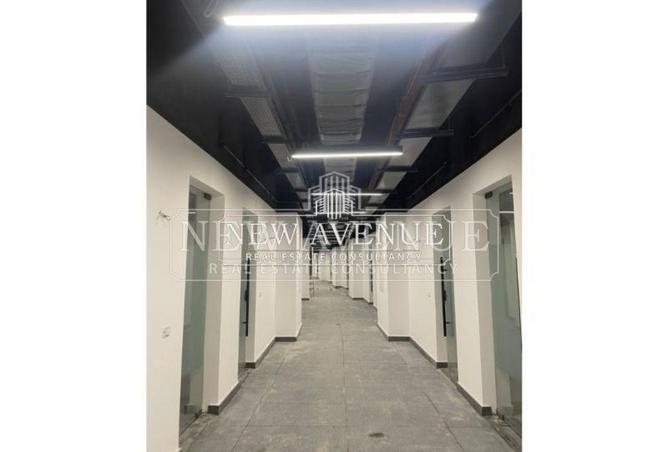 101789876 - Property Image 3