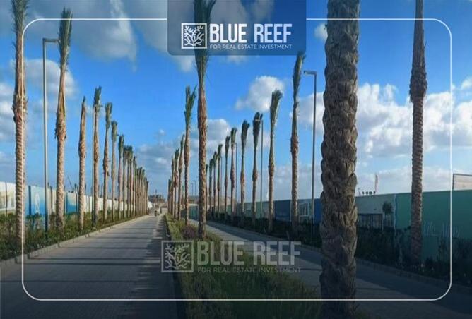 66957080 - صورة العقار 2