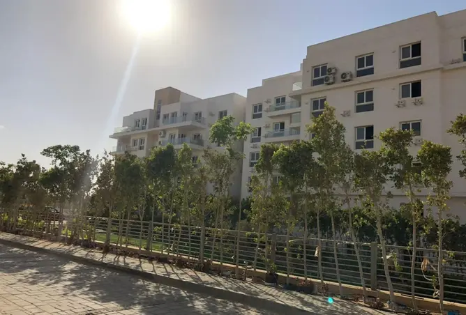 115710523 - صورة العقار 3