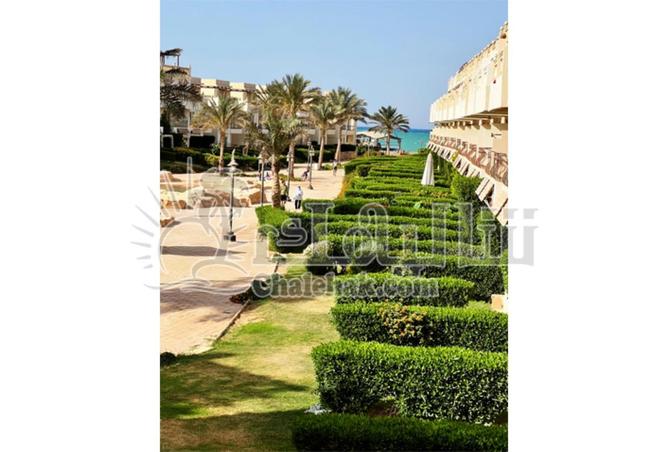 76516356 - صورة العقار 3