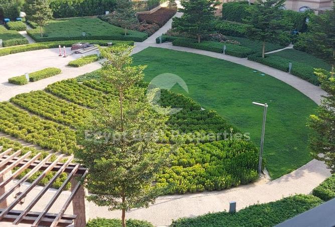 76241781 - صورة العقار 2
