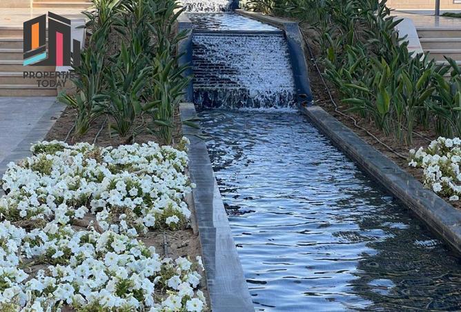 56000633 - Property Image 3