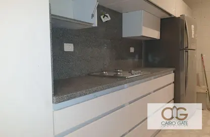 Apartment - 2 Bedrooms - 2 Bathrooms for rent in Hassan Sabri St. - Zamalek - Cairo