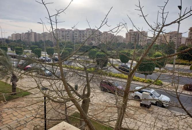 8554565 - صورة العقار 3