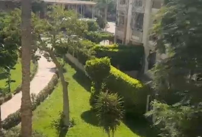 109071656 - صورة العقار 3
