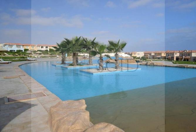 103762624 - Property Image 3