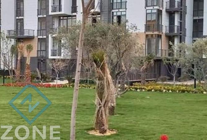 8585803 - صورة العقار 2