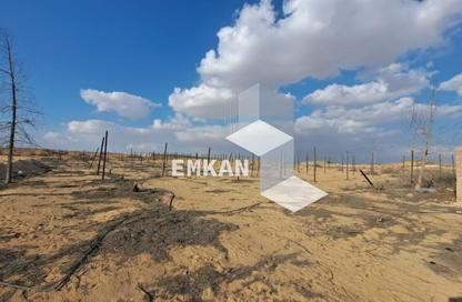 قطعة أرض - استوديو للبيع في بالم هيلز أكتوبر - طريق مصر اسكندرية الصحراوي - مدينة 6 أكتوبر - الجيزة