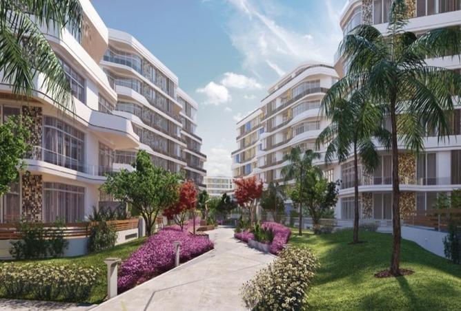 8522409 - Property Image 3