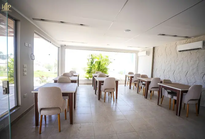 118541263 - Property Image 3
