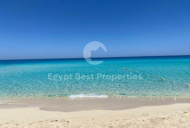 105171065 - صورة العقار 3