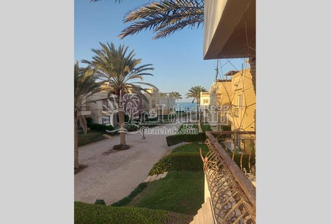 53720913 - الصورة الرئيسية للعقار