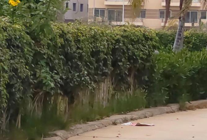 8697152 - Property Image 2