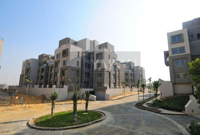 63136508 - Property Image 3