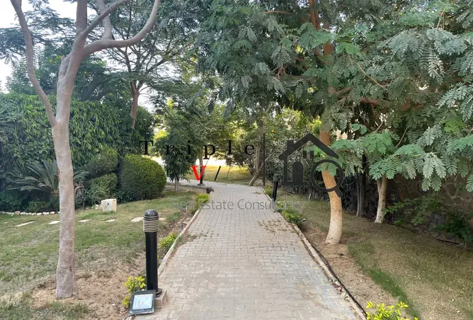 113254252 - صورة العقار 3
