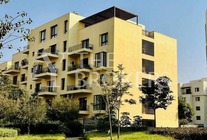 56496962 - الصورة الرئيسية للعقار