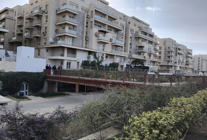 113542269 - صورة العقار 3