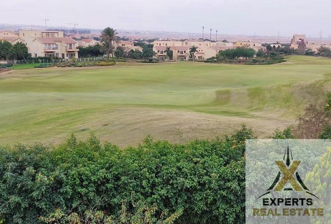 64901241 - Property Image 3