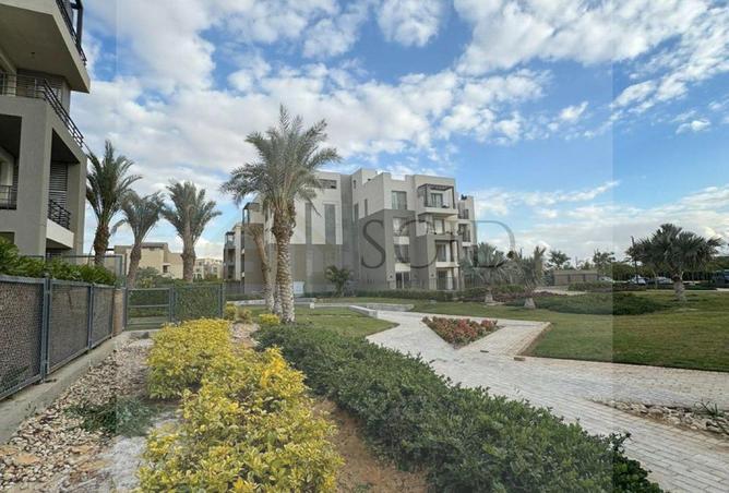 57499494 - Property Image 3