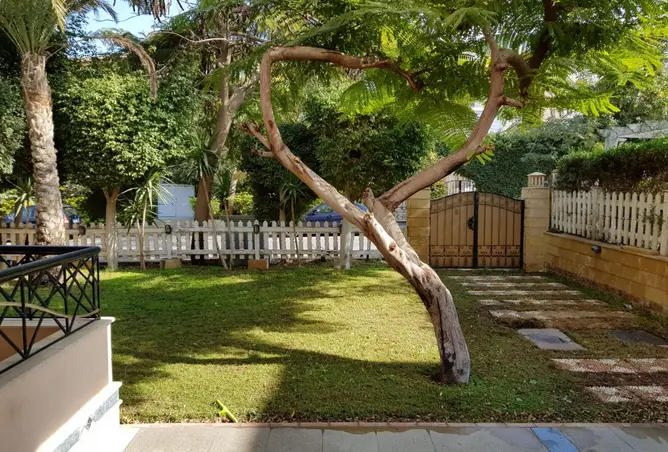 97143598 - Property Image 2