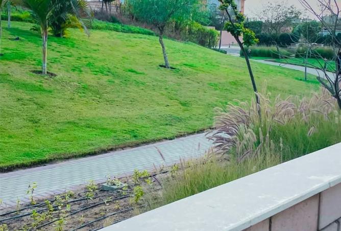 96866749 - صورة العقار 2