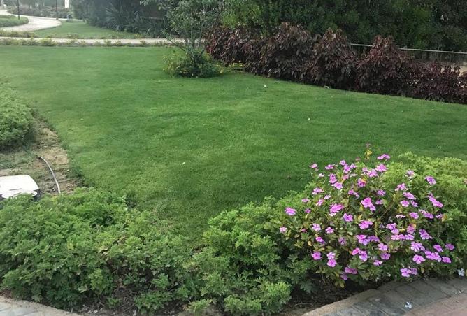 8721754 - الصورة الرئيسية للعقار