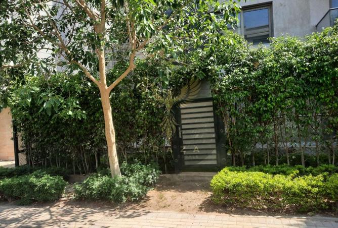 8482936 - Property Image 3