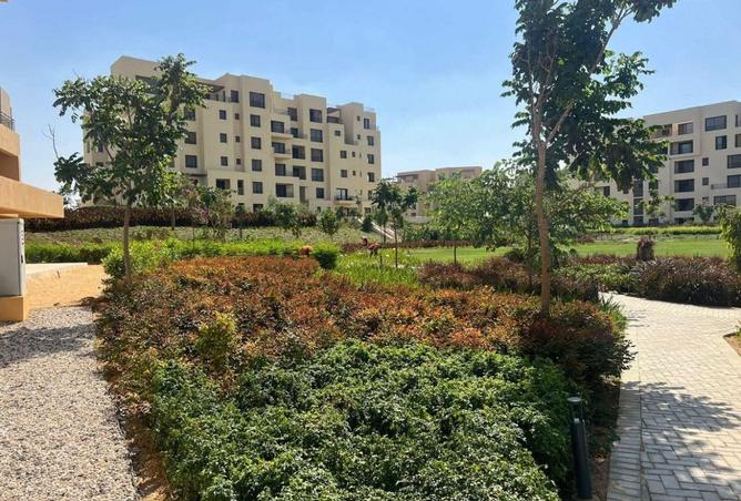 8597420 - صورة العقار 2