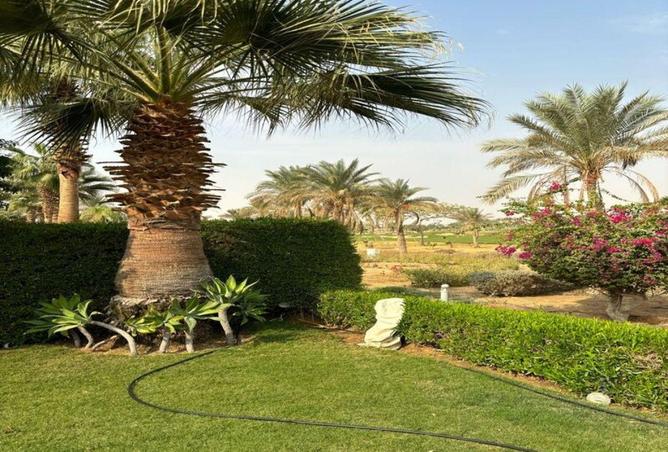 8602021 - صورة العقار 2