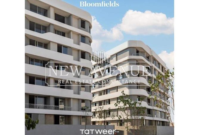 8411809 - Property Image 3