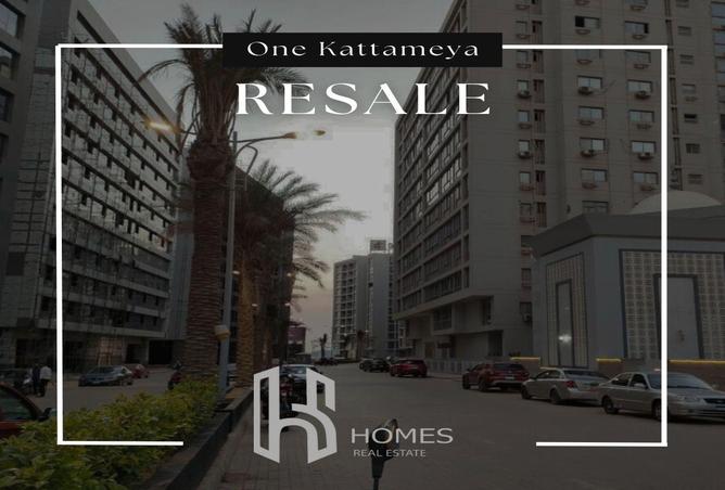 55237616 - Property Image 3