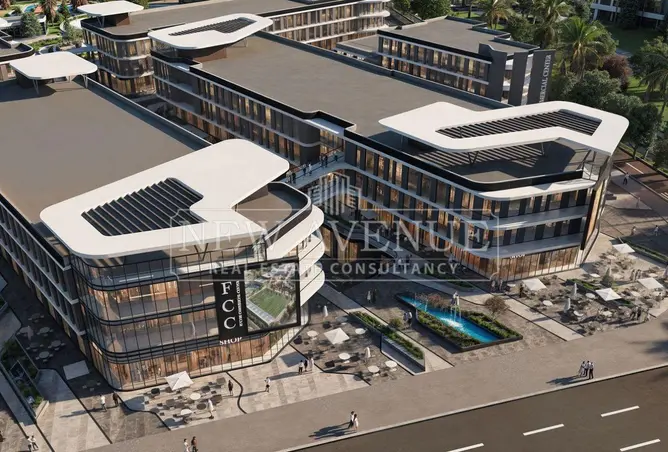 113531949 - Property Image 3