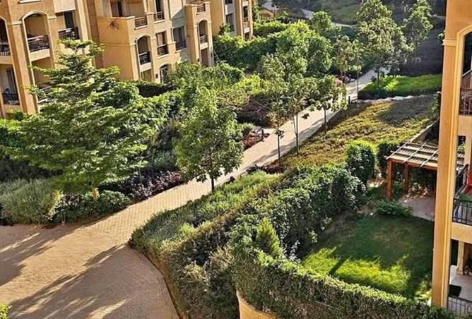 57998916 - صورة العقار 3