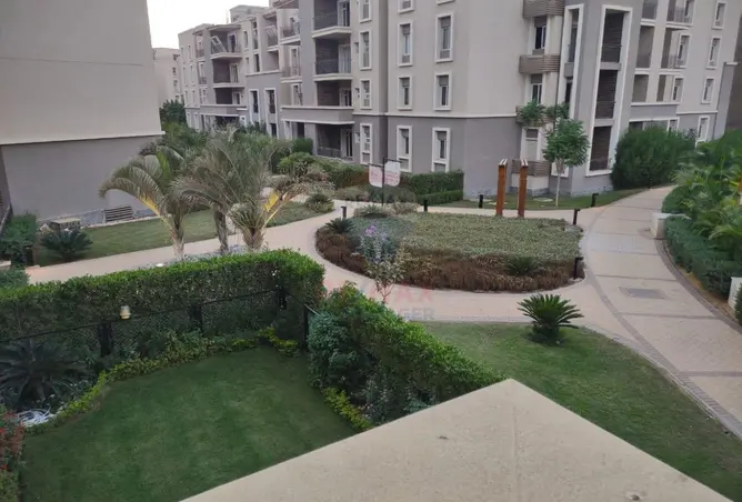 117530620 - صورة العقار 3