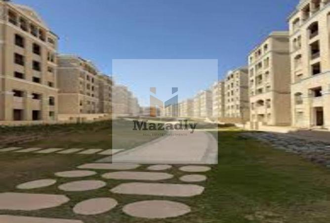 74313356 - Property Main Image