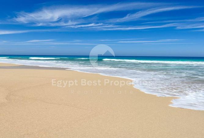 8686936 - صورة العقار 2