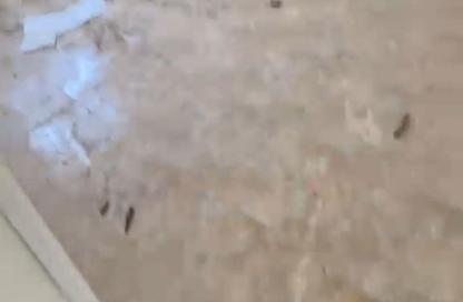 Apartment - 2 - 1 for sale in 2nd District East - Shorouk City - Cairo Apartment - 2 - 1 for sale in 2nd District East - Shorouk City - Cairo