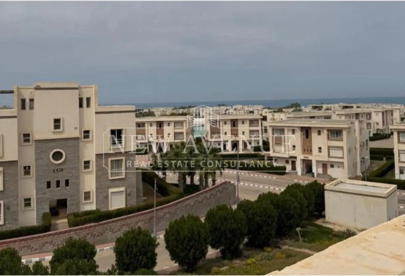 113524156 - الصورة الرئيسية للعقار