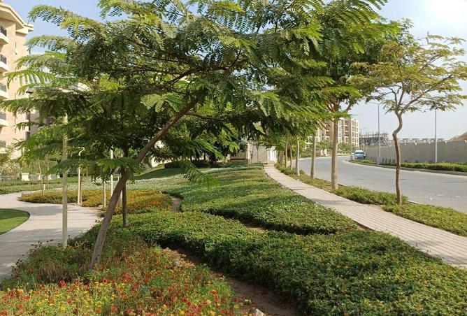 8617465 - صورة العقار 3