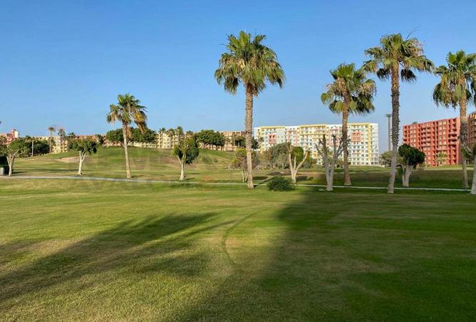 66702706 - Property Image 2