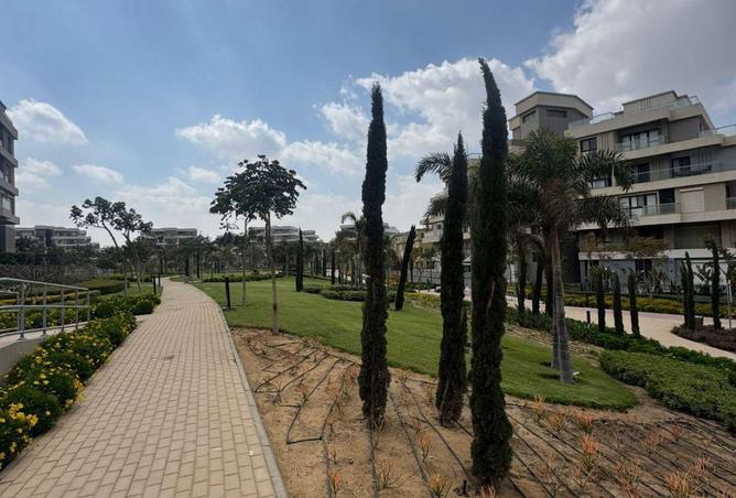 59739287 - Property Image 3