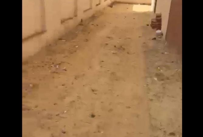 75394314 - صورة العقار 3
